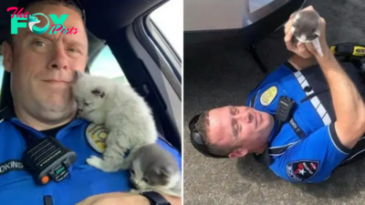 Police Officer Rescues Two Adorable Kittens And They Won’t Stop Cuddling Him