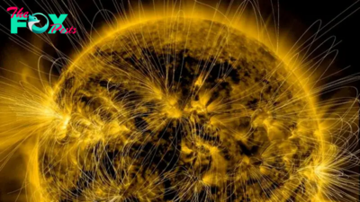 Solar maximum may already be upon us, expert warns — but we won't know for sure until the sun's explosive peak is over