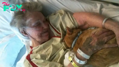 Elderly Woman’s Last Wish Is To Say Goodbye To Her Beloved Cat