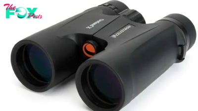 At just $43.99, this is a great deal on binoculars for beginners