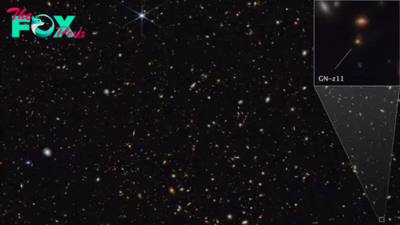 The James Webb telescope may have found some of the very 1st stars in the universe
