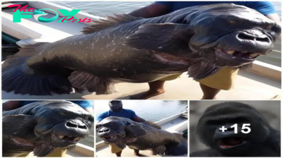 SN The ape-like “Algerian gorilla fish” that “feasts on whales” has been disproven.