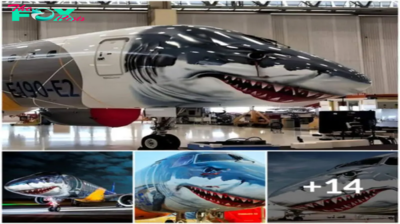 Embraer E-190-E2: Soaring Excellence in Artistic Innovation