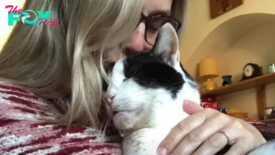 Feline Is So Loving With The Family That Adopted Him