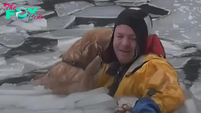 kem.Brave rescue team: Rescue a dog stuck in the middle of an icy river