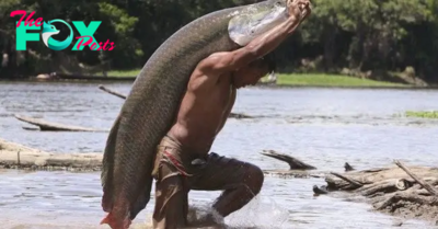 S127 Arapaima gigas, one of the largest freshwater fish ‎ S127