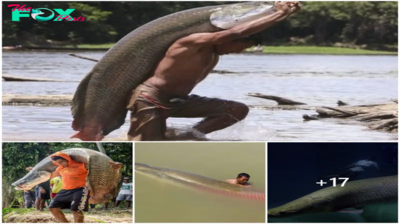 SQB.   The Myth of Arapaima gigas: The Giant Freshwater Fish of the Amazon Forest!