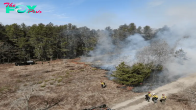 Defense against extreme fires, Rhode Island to do prescribed burn in Arcadia Management Area