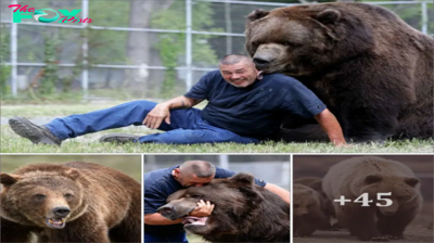 STK. A New York man’s encounter with a massive bear has gone viral on social media, with many users expressing shock and awe at the size of the animal.