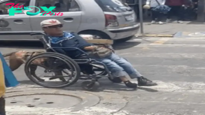 The Heartwarming Moment of Being a һero Dog in His Owner’s Wheelchair