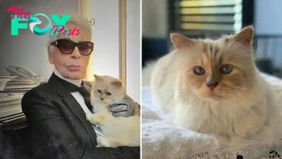 Did You Know Karl Lagerfeld Wanted To Leave Everything To His Cat Choupette?