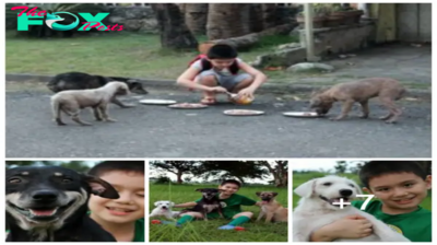 Mt  “Paws for a Cause: A Father’s Joy in Rescuing Stray Dogs with His Child” mt