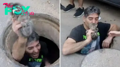 Man Jumps Into A Storm Drain To Save This Poor Kitten’s Life