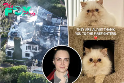 Cara Delevingne announces cats survived devastating house fire after cryptic post: ‘They are alive!!’