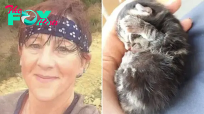 Newborn Kitten Falling From The Sky Saved By Woman Jogger