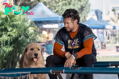 Box Office: Mark Wahlberg ‘Arthur the King’ In Dog House 