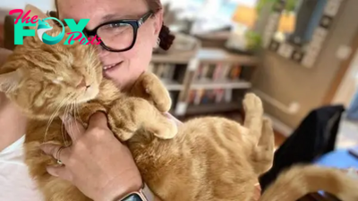 Ginger Cat Doesn’t Let His Blindness Stop Him From Living His Best Life