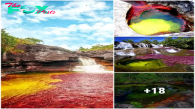Exploring the Enchanting Hues of Colombia’s Rainbow River