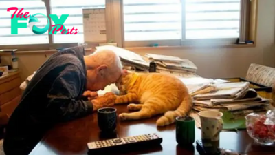 Girl Gets A Cat For Her Sick Grandpa And It Changes His Life