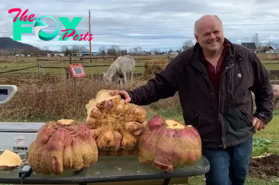 nha5. A Canadian man has amazed the agriculture world by growing a massive turnip weighing 29 kilograms, earning himself a spot in the Guinness World Records.
