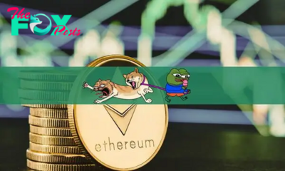DogWifCat Token Surges Over 4,000% in Two Days – Next Big Solana Meme Coin? 