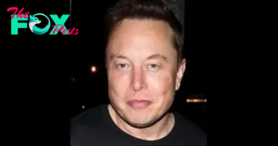 Why We Think Elon Musk Is An Example Of How Structural Racism Works: 5 Things To Know