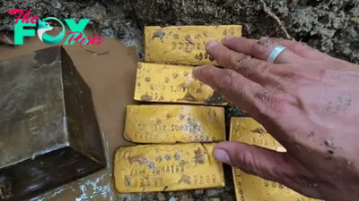 kem.Luck smiled on a European man when he accidentally discovered a treasure containing 9,999 gold bars that had been hidden since World War II (Video)