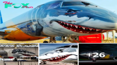 Lamz.Elevating Innovation: The Embraer E-190-E2 Soars as a Masterpiece of Artistic Excellence.