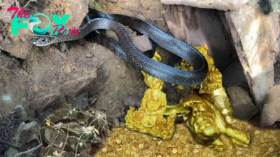 kem.Uncover hidden treasures in a rugged terrain, guarded by a mythical snake.