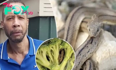 Man is horrified by what he found inside a bag of broccoli He Purchased from an Aldi