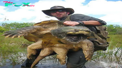 tph.”Meet the Most Unusual Turtle on Earth: Capable of Ingesting a Species of Giant Crocodile!”.tph