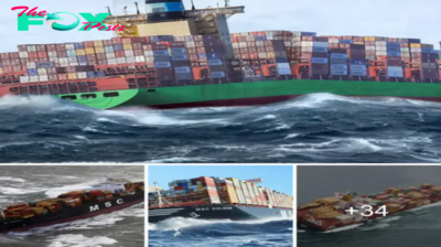 nhatanh. Navigating the Giants: Navigating the World’s Largest Container Ships Through dапɡeгoᴜѕ Waves – A Story of Survival and Strength (Video)