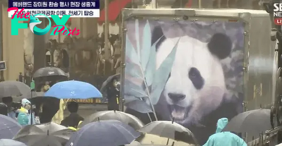 S29. The Remarkable Story of Fubao the Panda that Moved Thousands of South Koreans to Tears. S29