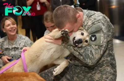 “A Tough Bond: Tender Care on the Battlefield, the Special Relationship Between a Soldier and a Wounded Dog”