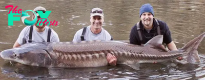 AK An unprecedented achievement unfolds as a 125-year-old Lake Sturgeon sets records, claiming the title of the largest U.S. catch and the world’s oldest freshwater fish.