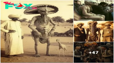 Scientists’ rare historical images of extraterrestrial life are insufficient to explain what these entities did to mankind in the seventeenth century