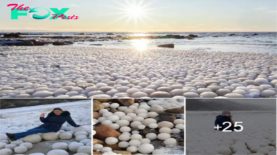 Rare Discovery: Thousands of ‘Ice Eggs’ Uncovered on Finnish Beach. nobita