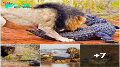 Predator Clash: Lions Take on Walking Crocodile in Dramatic Encounter