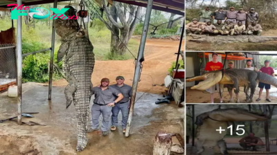 Conquering Fear: Notorious Prehistoric-Sized Crocodile, Infamous for Targeting Humans, Finally Eliminated ‎