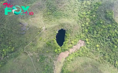 FS Explore the strangeness inside a giant waterhole with ancient forests that can host undiscovered species
