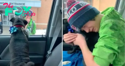 “Unparalleled joy: Family surprises boy at school by reuniting him with lost dog”