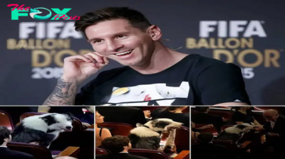 Messi the celebrity dog made it to the Oscars. Here’s how the show pulled off his (clapping) cameo
