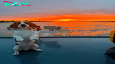 “The Beagle and the Dawn Sea: A boat journey amid a quiet sunset”
