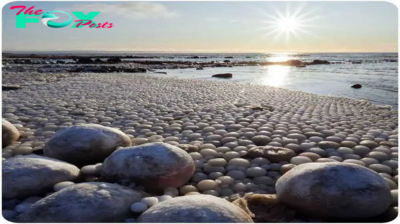 FS Incredible beauty: Admire thousands of “rock eggs” found on beaches in Finland