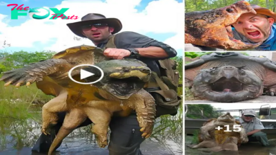The strangest turtle in the world can swallow a species of giant crocodile