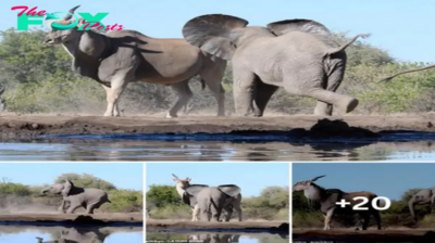 Unexpected Struggle: Great Antelope Defends Itself Against Aggressive Baby Elephants