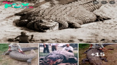 Monster from Down Under: The Epic Tale of Australia’s Biggest Crocodile Catch