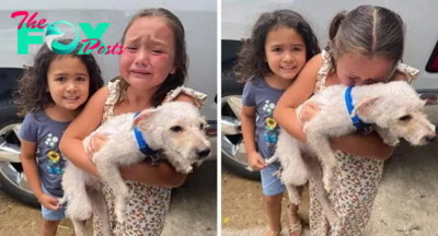 qq Captivating Reunion: 7-Year-Old’s Heartfelt Reunion with Beloved Dog, Harry, After 330 Days Apart Strikes a Chord with Animal Enthusiasts Globally, Illuminating the Unbreakable Bond and Timeless Strength of Love.