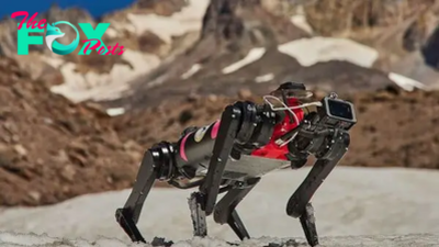Packs of dog-shaped robots could one day roam the moon — if they can find their footing on Earth first