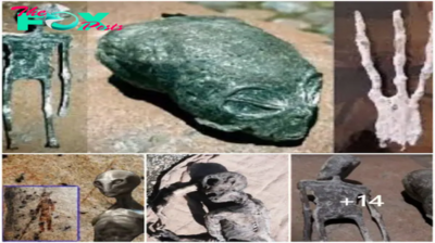 Startling Revelation: Preserved Extraterrestrial Corpse Unveiled, Baffling Researchers in the Atacama Desert